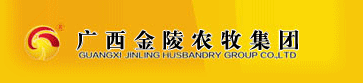廣西金陵集團